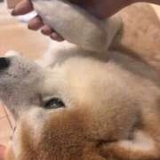 ヒメ日記 2026/06/21 05:09 投稿 なぎ 素人美少女専門　町田アンジェリーク（アンジェリークグループ）
