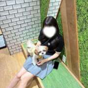 りせ【極スリム美少女規格】 🎀癒されに🐶 レンタル美少女～堕とされた優等生～五反田店