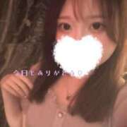 ヒメ日記 2026/07/05 02:04 投稿 きほ【極上癒しのたぬき顔】 STELLA TOKYO－ステラトウキョウ－