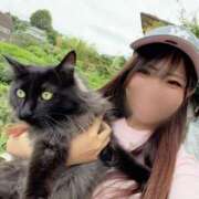 花園いろは うちの子🐈‍⬛ Finemotion