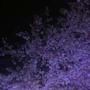 はるあ お仕事終わり！ IRIS一宮