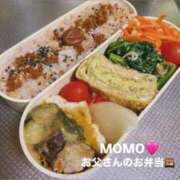 ヒメ日記 2026/07/25 05:36 投稿 Momo-もも club BLENDA 天王寺・谷9天高ビル店