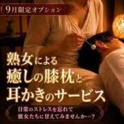 ヒメ日記 2026/08/31 19:05 投稿 すみれ 熟女家 東大阪店（布施・長田）