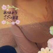 ヒメ日記 2026/10/11 08:41 投稿 すみれ 熟女家 東大阪店（布施・長田）