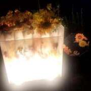 ヒメ日記 2026/08/13 13:41 投稿 いく One More 奥様 所沢店