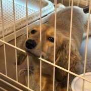 ヒメ日記 2026/06/23 07:40 投稿 そら 萌えコス