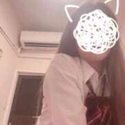 ヒメ日記 2026/09/03 08:25 投稿 そら 特別授業