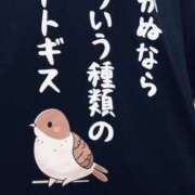 ヒメ日記 2026/08/20 23:52 投稿 すみれ 美熟女倶楽部Hip's 春日部店