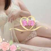ヒメ日記 2026/06/16 13:59 投稿 まほ 人妻熟女の秘密の関係　船橋店