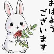 ヒメ日記 2026/06/26 05:20 投稿 永井（ながい） 丸妻 錦糸町店