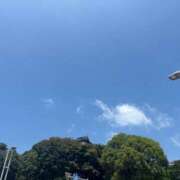 ヒメ日記 2026/07/20 12:46 投稿 なつき 丸妻 池袋店