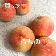 ヒメ日記 2026/07/31 13:15 投稿 はな 池袋人妻城