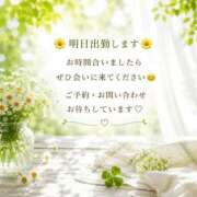 ヒメ日記 2026/07/17 14:16 投稿 真矢 昼顔妻 五反田店