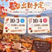 ヒメ日記 2026/10/02 12:02 投稿 真矢 昼顔妻 五反田店