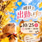 ヒメ日記 2026/10/24 19:31 投稿 真矢 昼顔妻 五反田店