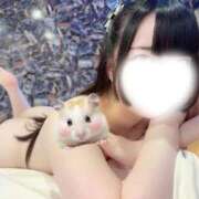 立石らら 昨日はありがとうございました🐩🐾 池袋パラダイス