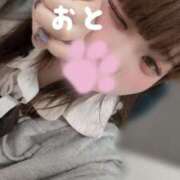 ヒメ日記 2026/06/25 10:05 投稿 おと りんくう泉佐野ちゃんこ