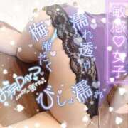 ヒメ日記 2026/06/15 07:35 投稿 さおとめ 丸妻 横浜本店
