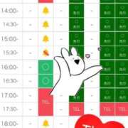 ヒメ日記 2026/06/28 09:21 投稿 あやめ 天空のマット