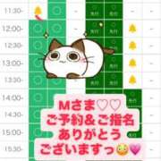 ヒメ日記 2026/07/06 09:31 投稿 あやめ 天空のマット