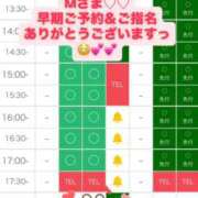 ヒメ日記 2026/07/08 08:30 投稿 あやめ 天空のマット