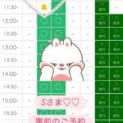ヒメ日記 2026/07/12 12:21 投稿 あやめ 天空のマット