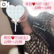 ヒメ日記 2026/07/17 09:11 投稿 あやめ 天空のマット