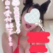 ヒメ日記 2026/07/28 14:31 投稿 あやめ 天空のマット