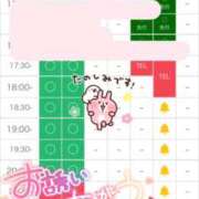 ヒメ日記 2026/08/03 09:21 投稿 あやめ 天空のマット