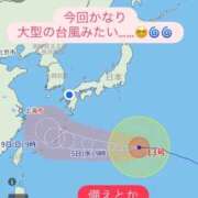 ヒメ日記 2026/08/04 10:11 投稿 あやめ 天空のマット