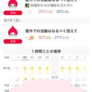 ヒメ日記 2026/08/18 21:21 投稿 あやめ 天空のマット