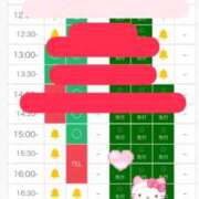 ヒメ日記 2026/08/24 09:21 投稿 あやめ 天空のマット