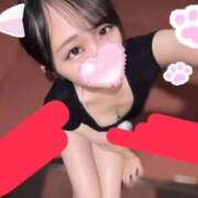 ヒメ日記 2026/09/21 10:21 投稿 あやめ 天空のマット