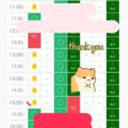 ヒメ日記 2026/09/29 10:23 投稿 あやめ 天空のマット