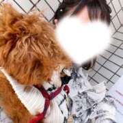 ヒメ日記 2026/06/15 22:20 投稿 すみれ リアル 梅田店