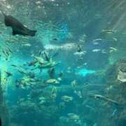ヒメ日記 2026/08/13 19:50 投稿 るい ごほうびSPA五反田店
