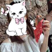 ヒメ日記 2026/07/06 17:28 投稿 さき★S級才色兼備×高学歴美女 Bell～S級美女お姉様・人妻デリヘル～