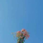 ヒメ日記 2026/06/19 18:41 投稿 凛(りん) グランドオペラ福岡