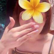 ヒメ日記 2026/08/18 21:42 投稿 桜子 品川しろうさぎ