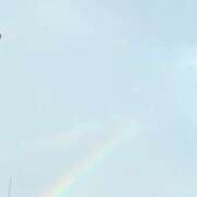 ヒメ日記 2026/08/21 18:09 投稿 桜子 品川しろうさぎ