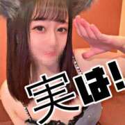 しろたん しろたんの生態 まじらぶ！