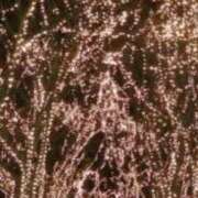 ヒメ日記 2026/07/05 00:38 投稿 まりこ 奥鉄オクテツ東京店（デリヘル市場）
