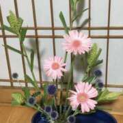 ヒメ日記 2026/07/20 09:00 投稿 まりこ 奥鉄オクテツ東京店（デリヘル市場）