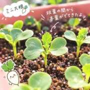 ヒメ日記 2026/09/22 11:39 投稿 うみ バッドカンパニー土浦店