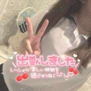 ヒメ日記 2026/07/24 10:00 投稿 桐山みれい★SS級小柄で巨乳美人 PLAY