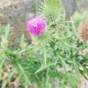 ヒメ日記 2026/08/09 17:00 投稿 朝川 熟女の風俗最終章 横浜本店