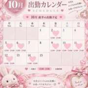 ヒメ日記 2026/09/29 12:02 投稿 のどか先生 浜松ハンパじゃない学園