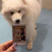 のあ お久しぶりの 越谷発デリヘル 生イキッ娘！