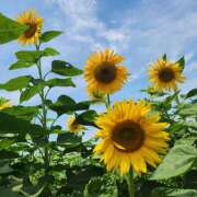 ヒメ日記 2026/08/01 12:16 投稿 瀬名 HERMINE-エルミネ-