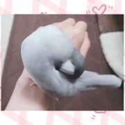 ヒメ日記 2026/08/06 12:31 投稿 瀬名 HERMINE-エルミネ-